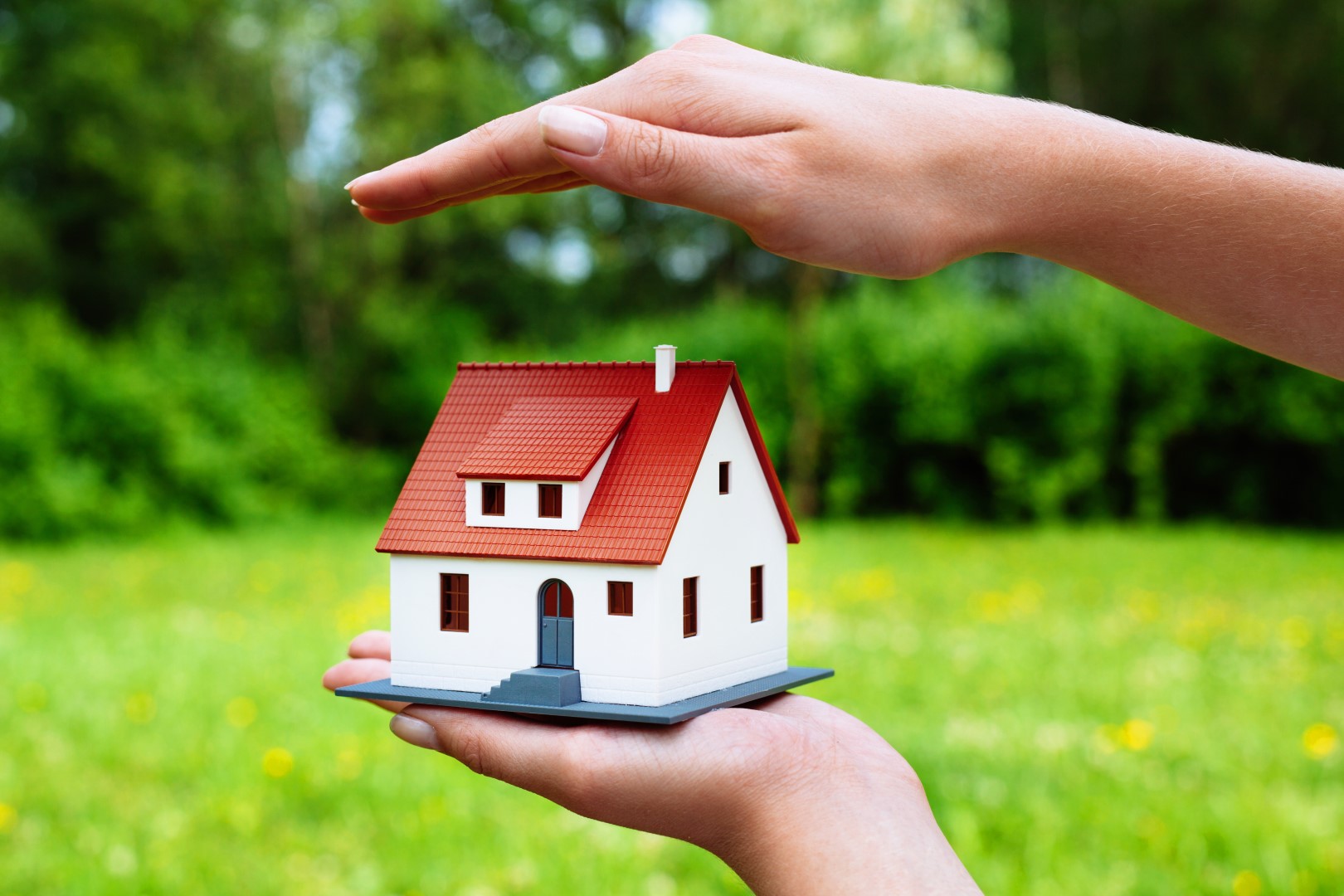 homeowners insurance Large